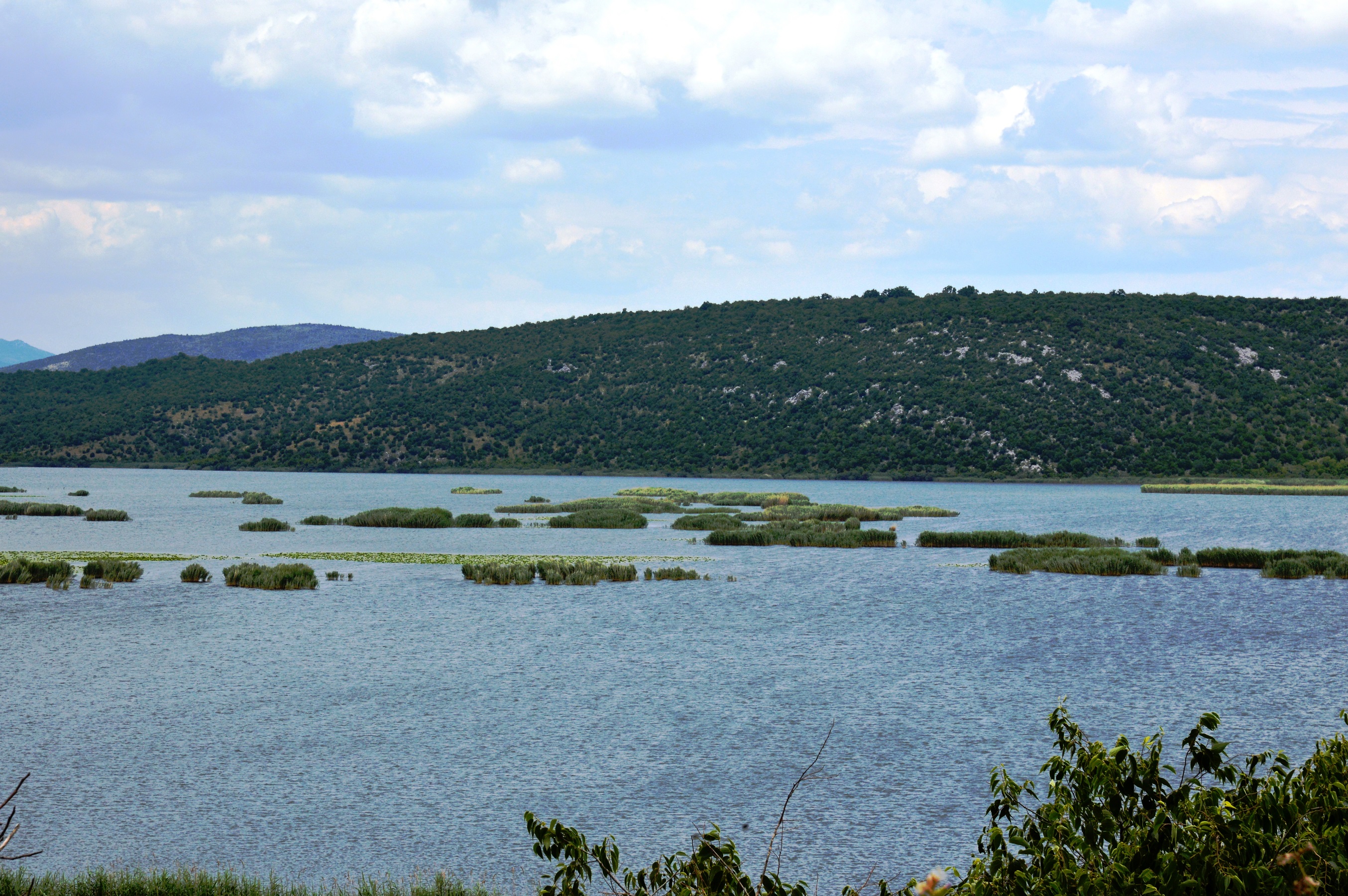 Hutovo blato I (Natural Park)