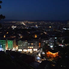 Bursa